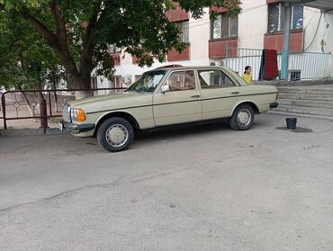 Mercedes-Benz: Mercedes-Benz W123: 1980 г., 2.4 л, Механика, Дизель, Седан