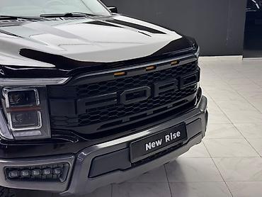 Ford: Ford F-150: 2021 г. — 19