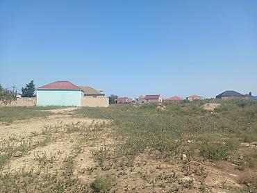 8 sot, Tikinti, Kupça (Çıxarış)