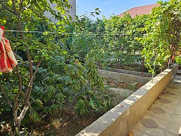 Həyət evləri və villaların satışı: Həyətyanı ev sahəsi - Tamamilə hasarlanmış, məxfilik təmin edən — 15