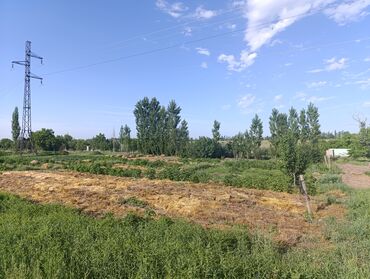 Продажа участков: 18 соток, Для бизнеса, Договор долевого участия