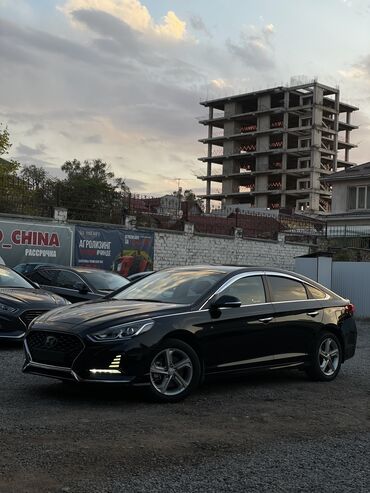 Kia: Kia K5: 2025 г., 2 л, Автомат, Газ, Седан — 11