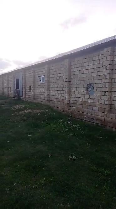dostluq kinoteatri unvani: Ferma satilir Fuzuli rayonunda. ərazi 3 hektar Nar baǧi movcudur.Su — 1