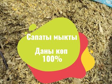 Корма для с/х животных: 🌽🌽🌽 ✅Силос Сатылат ✅Продаю Силос ✅Бесплатная погрузка 🔶Александровка 📱