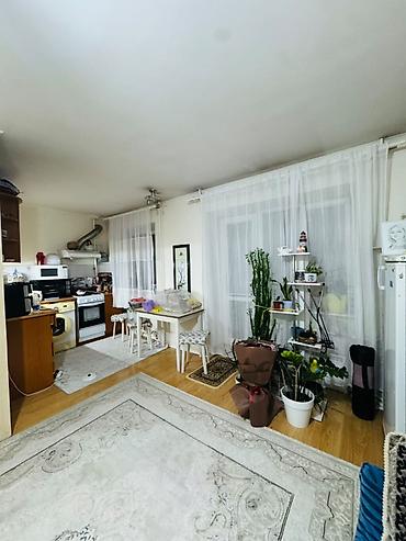Продажа квартир: 2 комнаты, 50 м², Мед Академия Хрущевка, 3 этаж, Косметический ремонт — 9