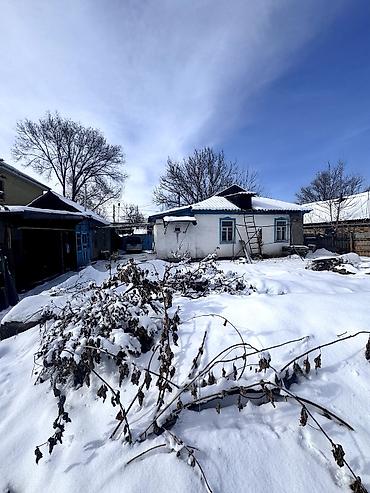 Продажа коттеджей и домов: 📌В Романовке 500м от трассы продается дом с большим участком. ✅Размер — 2