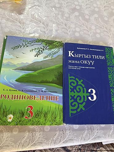 Табылгалар, бекерге берем: Книги родиноведение и кыргызский для 3х классов — 1