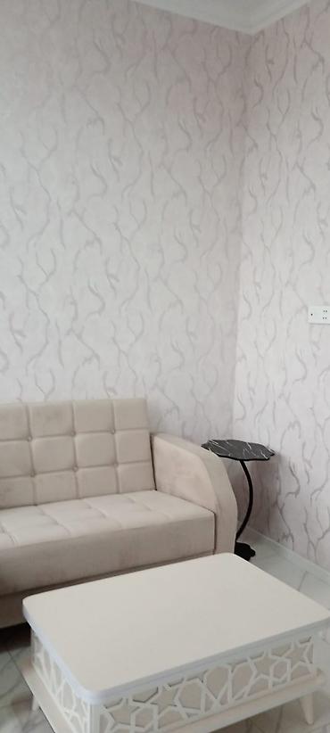 binede: 2 otaqlı, Yeni tikili, 44 kv. m — 3