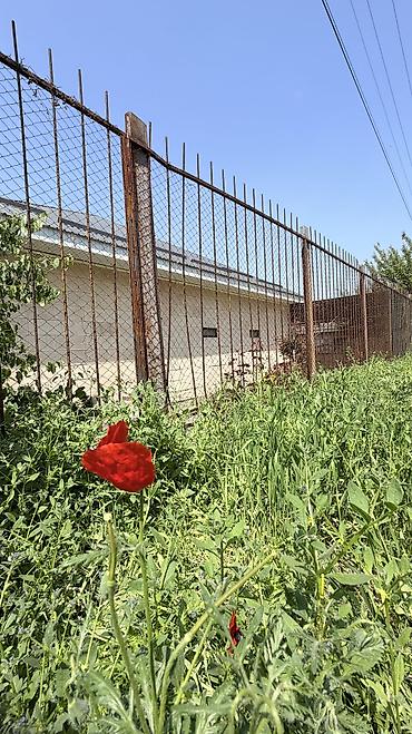 Продажа дач: Продам дачу на панораме напротив Бешкунгея, 5 минут от Южной — 3