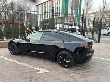 Tesla: Tesla Model 3: 2019 г., Электромобиль, Седан — 5