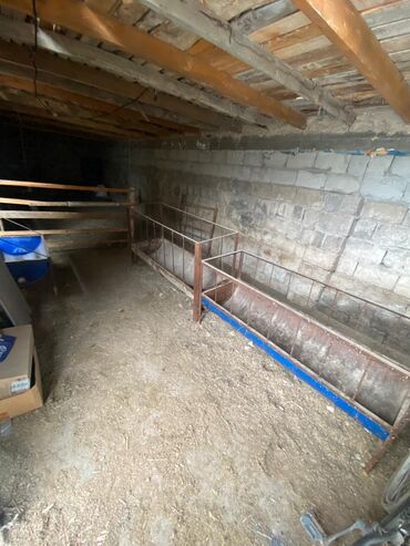 Продажа домов: Дом, 11 м², 7 комнат — 11