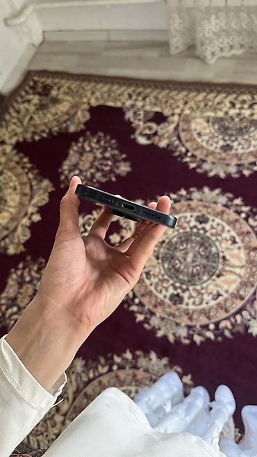xiami 15: IPhone 15 Pro Max, Б/у, 256 ГБ, Графит, Чехол — 2