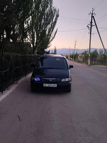 Honda Odyssey: 1996 г., 2.3 л, Автомат, Бензин, Минивэн at lalafo.kg Honda Odyssey: 1996 г., 2.3 л, Автомат, Бензин, Минивэн