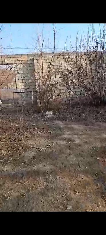 Torpaq sahələrinin satışı: 6 sot, Kupça (Çıxarış) — 12