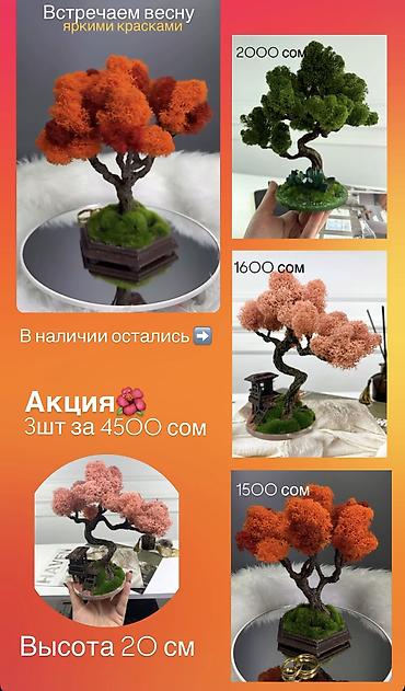 Декоративные цветы: Мини-дерево Бонсай из живого стабилизированного мха 🌿 ✅Цены указаны — 34