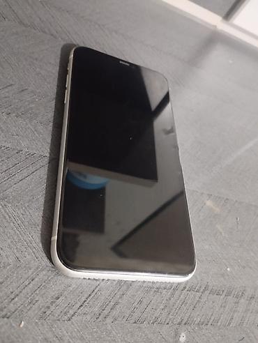 IPhone 11, Ağ