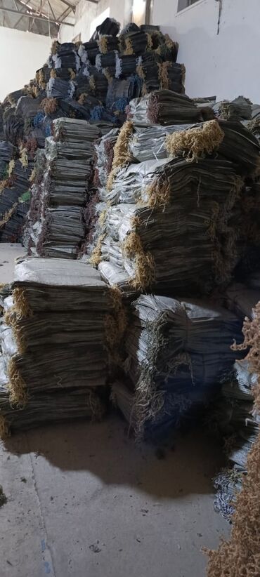 Başqa xidmətlər: Məhsul: Polipropilen torbalar. Xüsusiyyətlər: - Material: möhkəm PP — 10