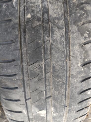 куплю шины 195 65 15: Шины 205 / 55 / R 16, Лето, Пара, Легковые, Япония, Bridgestone