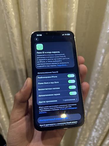 Apple iPhone: IPhone 13 Pro, 256 ГБ, 79 % — 2