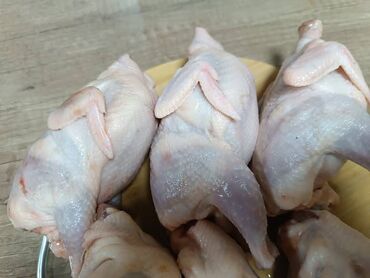 куплю мясо бройлера: Перепёлки ( фото наше) мы в центре города, вес тушек 200 -350 грамм