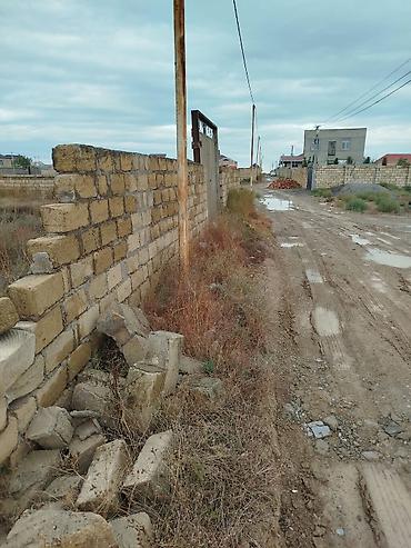 1 ha necə sotdur: 6 sot, Tikinti, Mülkiyyətçi, Kupça (Çıxarış) — 3