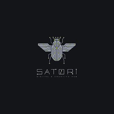 Digər xidmətlər: SATORI Digital & Creative Hub-un təsisçisi və baş IT — 1