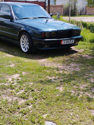 BMW 5 series: 1992 г., 2.5 л, Механика, Бензин, Седан