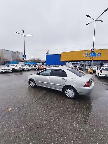 Toyota: Toyota Corolla: 2006 г., 1.6 л, Автомат, Бензин — 4