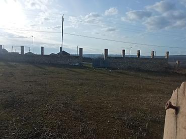 dağ: 43 sot, Kənd təsərrüfatı, Mülkiyyətçi, Kupça (Çıxarış), Texniki pasport — 5