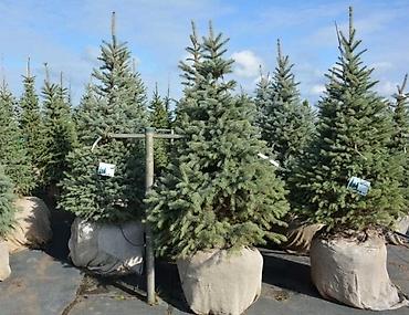 Уборка территории: Уборка территории — 2