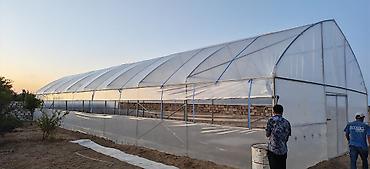 ev bitkiləri: İstiotaq (istixana) karkası və örtük sistemi - Müasir tunel tipli — 2