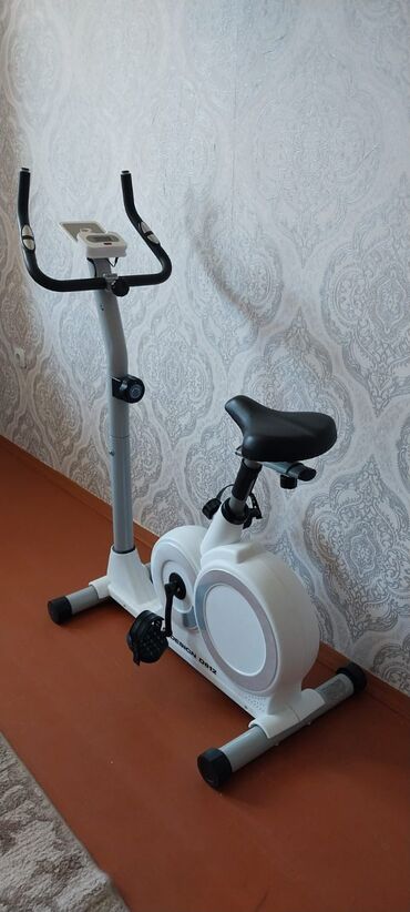 Velotrenajor 120kg
320azn
Musfiqabad 6794 leli