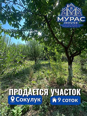 9 соток