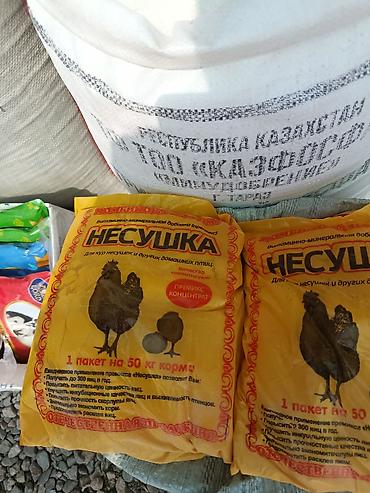 витамины для кур: Премикс-концентрат «Несушка» для кур-несушек и другой домашней птицы — 1