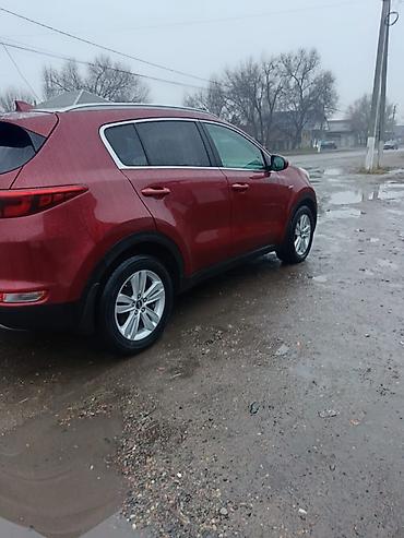 серый gac aion s: Kia Sportage: 2017 г., 2.4 л, Автомат, Бензин, Кроссовер — 7