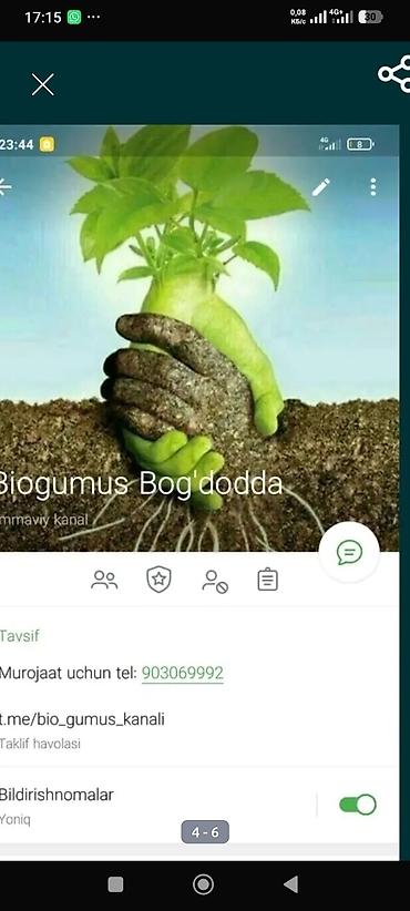 дождевые черви: Удобрение Гумус — 1