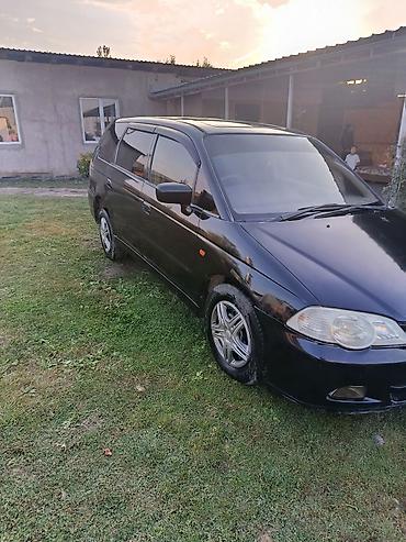 Honda: Honda Odyssey: 2000 г., 2.3 л, Автомат, Бензин, Универсал — 2