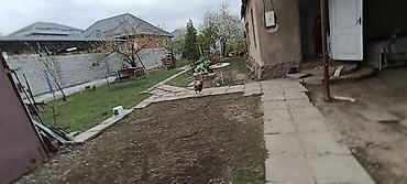 Продажа коттеджей и домов: Продаётся дом Арча Бешик с участком с двором и постройками. участок — 2