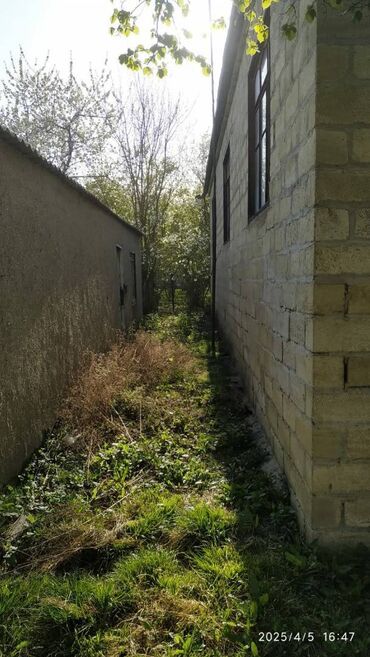 Bağ evlərinin satışı: Xudat, 170 kv. m, 3 otaqlı — 7