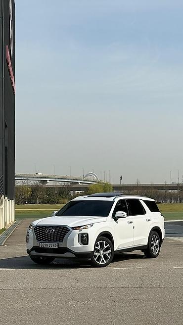 drive: Hyundai Palisade: 2019 г., 2.2 л, Автомат, Дизель, Кроссовер — 8