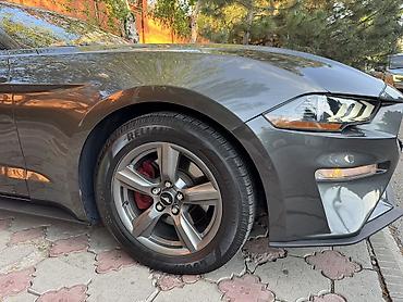 Ford: Ford Mustang: 2018 г., 2.3 л, Автомат, Бензин, Купе — 11