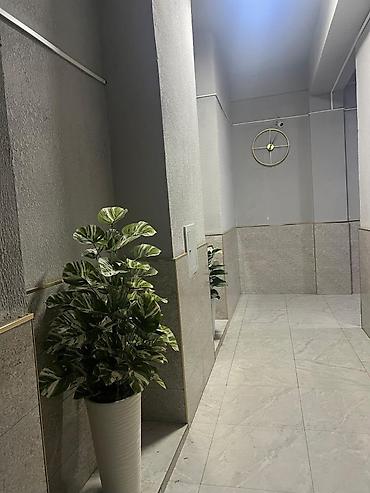 Продажа квартир: 2 комнаты, 66 м², Кок-Жар ж/м Элитка, 8 этаж, Евроремонт — 10