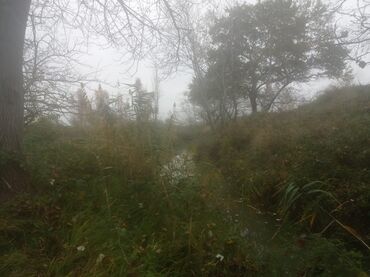 Torpaq sahələrinin satışı: 400 sot, Kənd təsərrüfatı, Maklerlər narahat etməsin — 21