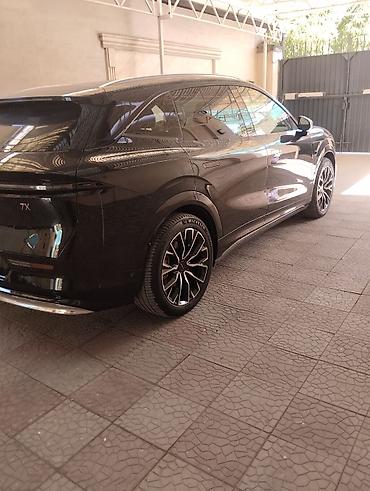 салон машины: Zeekr : | 2025 г. Кроссовер — 7
