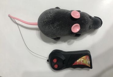 пультовая игрушка: Мышка на пультовом управлении. в наличии. бегает назад и вперед