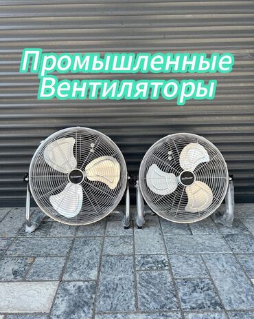 Вентиляторы: Вентилятор Настенные, Лопастной