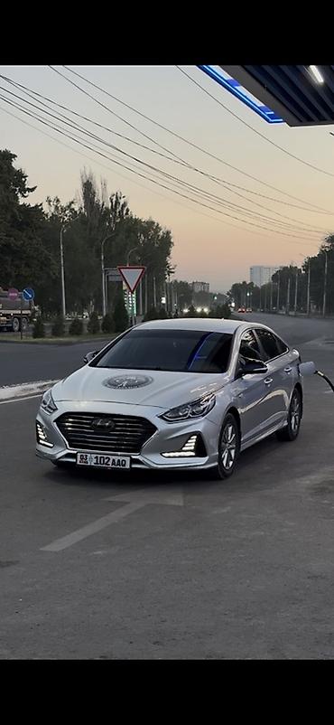 outback 2017: Hyundai Sonata: 2019 г., Автомат, Газ, Седан — 8