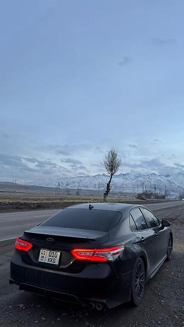 camry 2017: Toyota Camry: 2019 г., 2.5 л, Автомат, Бензин, Седан — 7