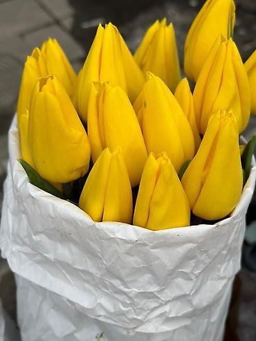 Букеты из живых цветов: Тюльпаны срезанные — букетные сборки. - Варианты окраски: насыщенный — 11