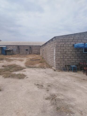 Bağ evlərinin satışı: Bakı, Qala qəs., 550 kv. m, 3 otaqlı, Hovuzsuz, Artezian quyusu, Qaz, Su — 17